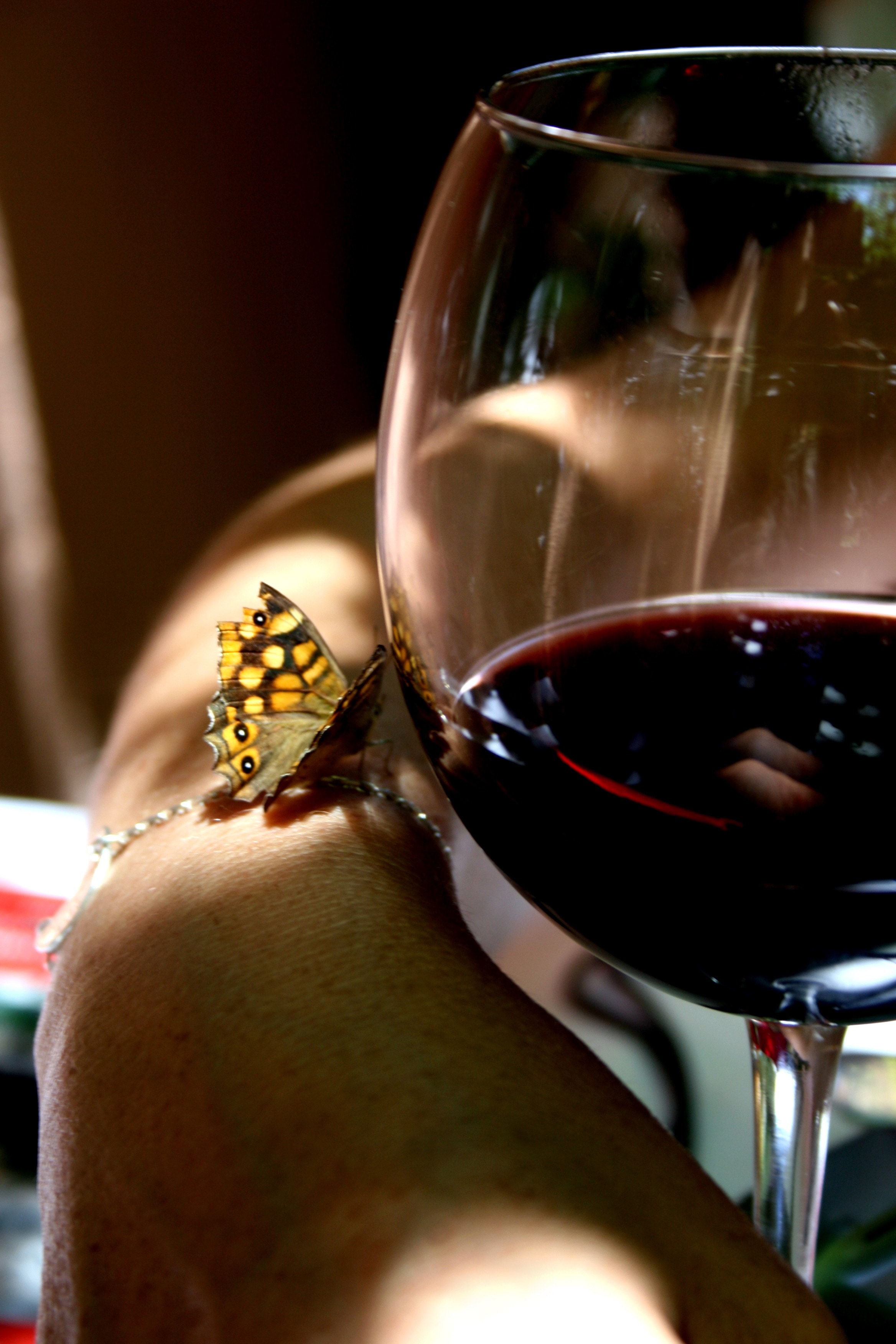 Butterfly, Wine, Glass, wineglass, wine