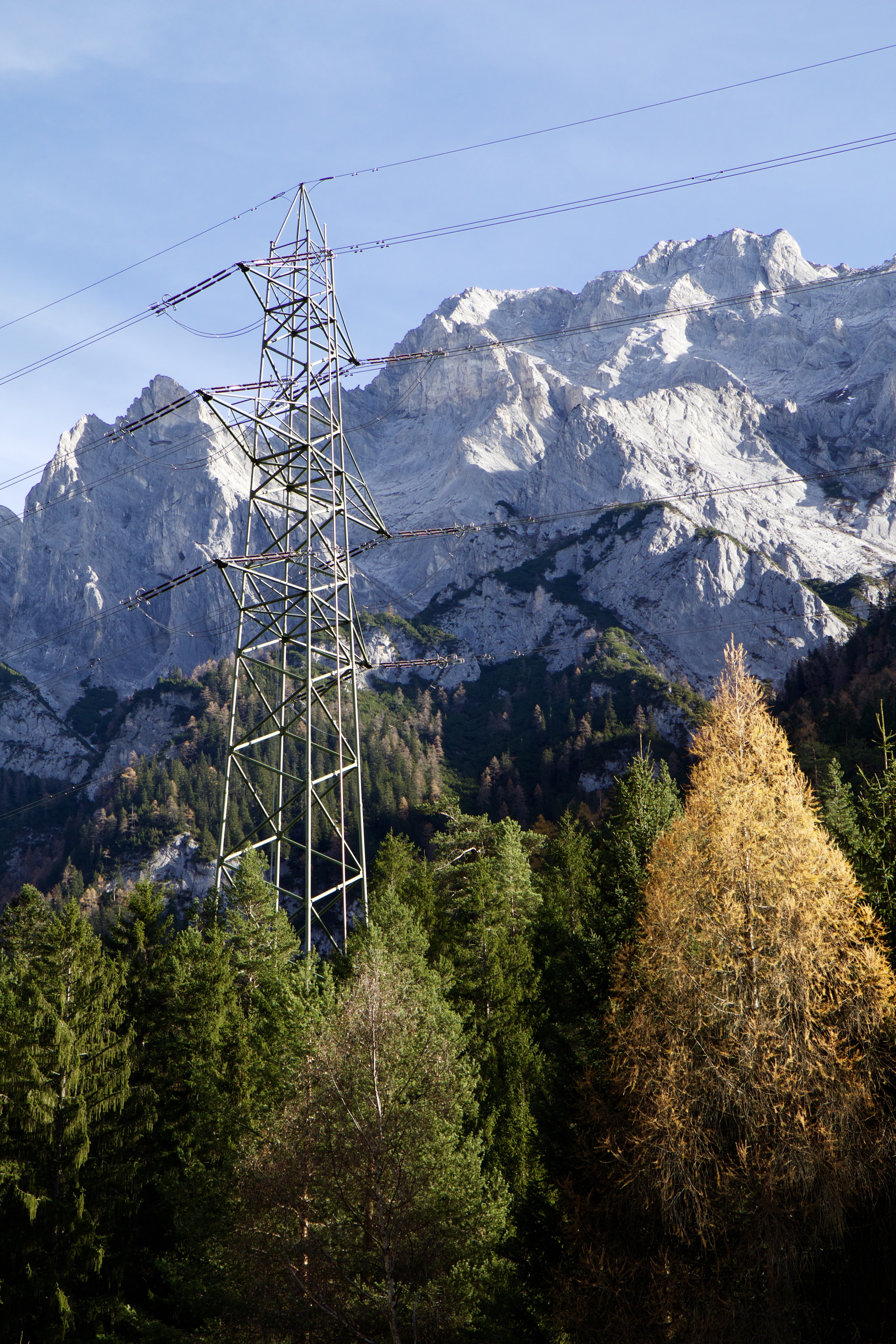 photograph of power line