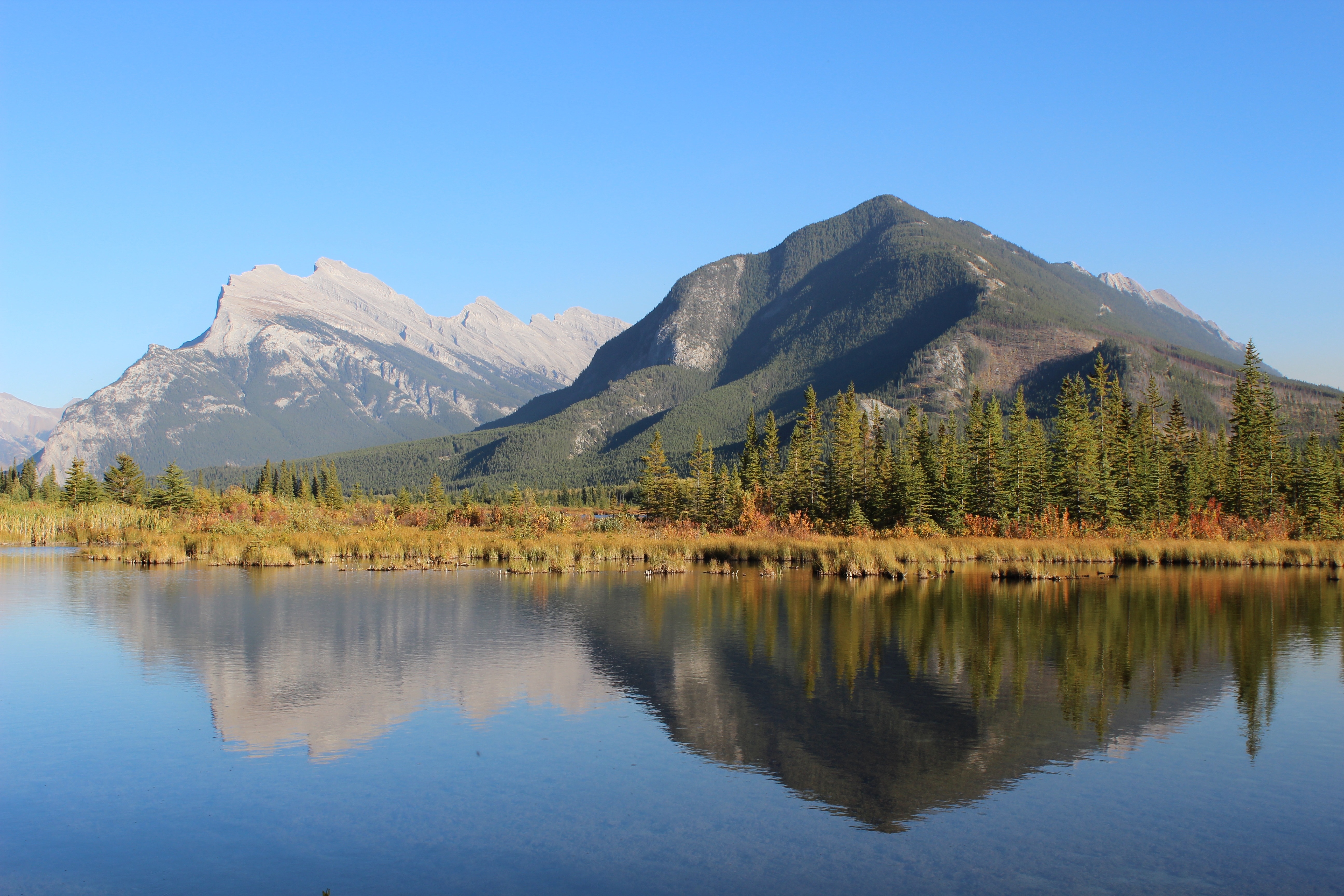 Reflection, Banff, Vermilion Lakes, Lake, mountain, reflection