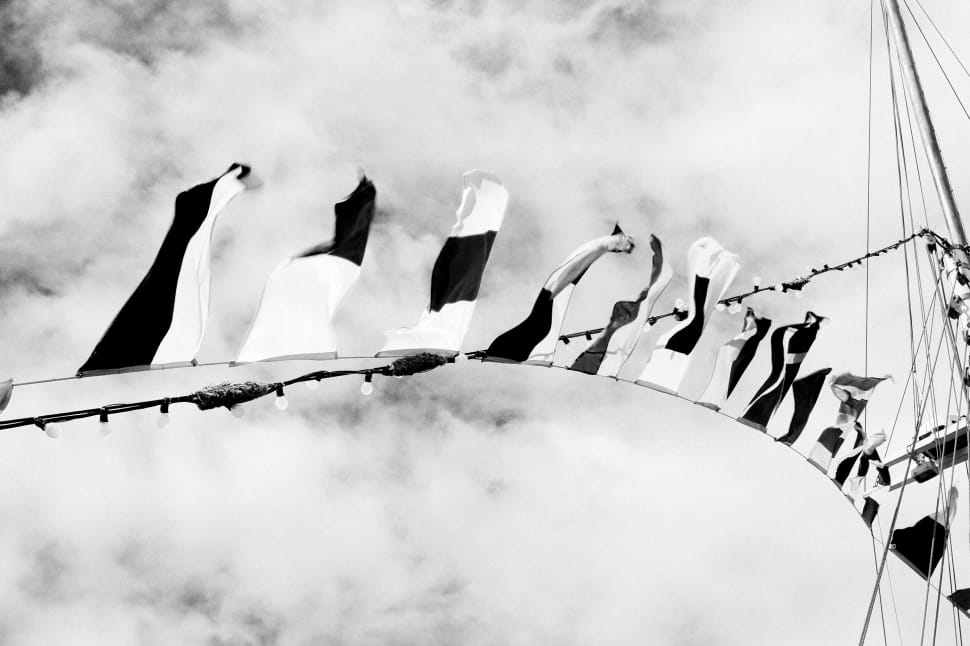 grayscale photo of buntings under cloudy sky preview