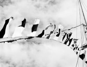 grayscale photo of buntings under cloudy sky thumbnail