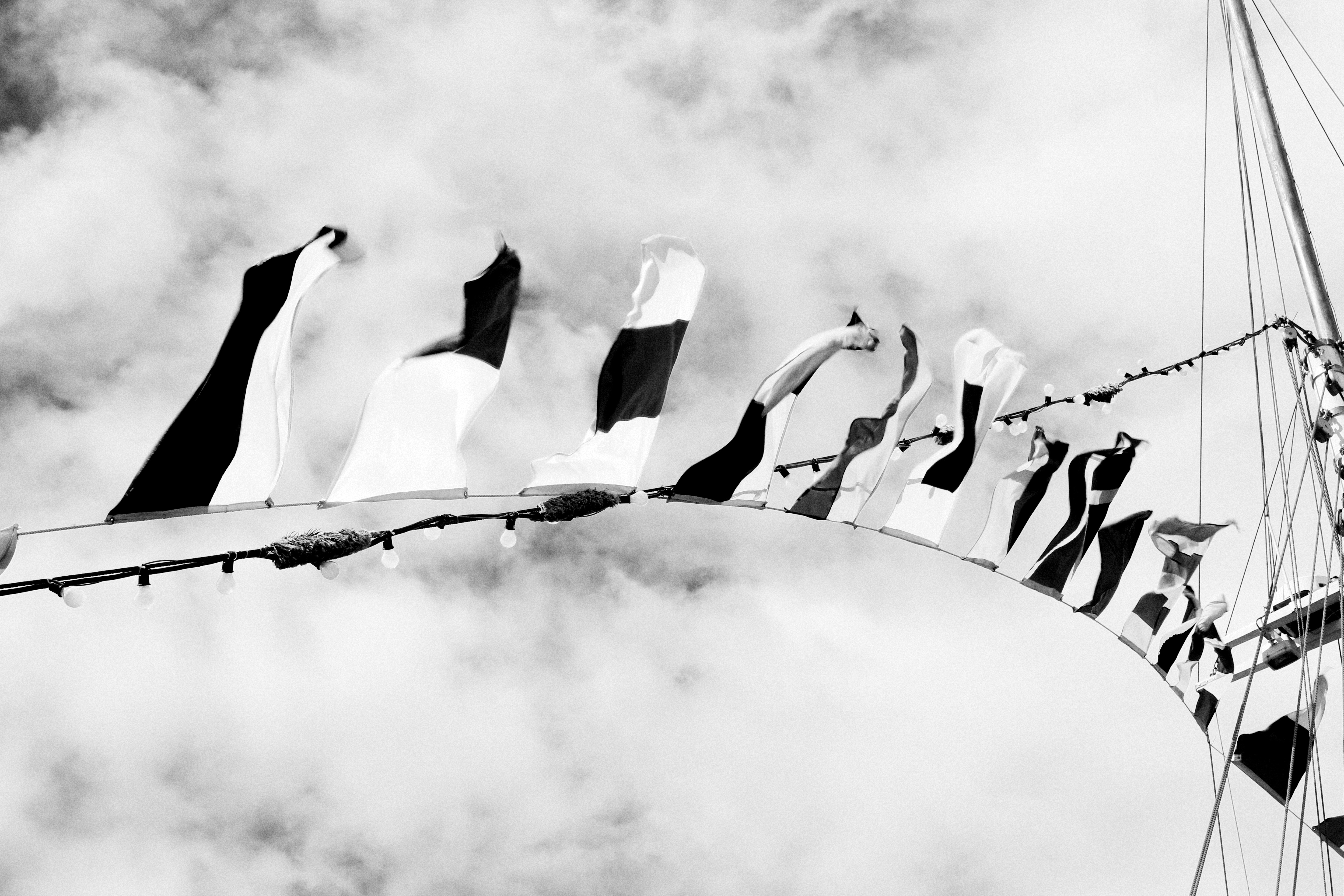 grayscale photo of buntings under cloudy sky