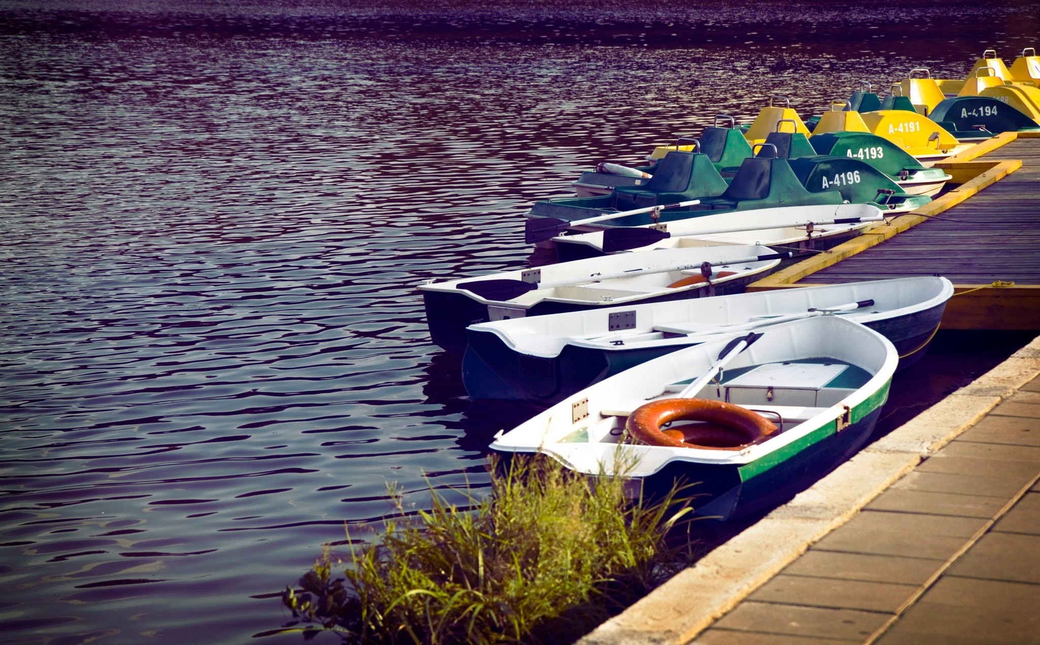 canoes and pedal boats on body of water