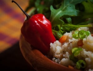 red bell pepper and fried rice thumbnail