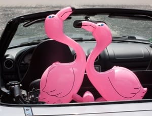 pair of pink flamingo balloons in car thumbnail
