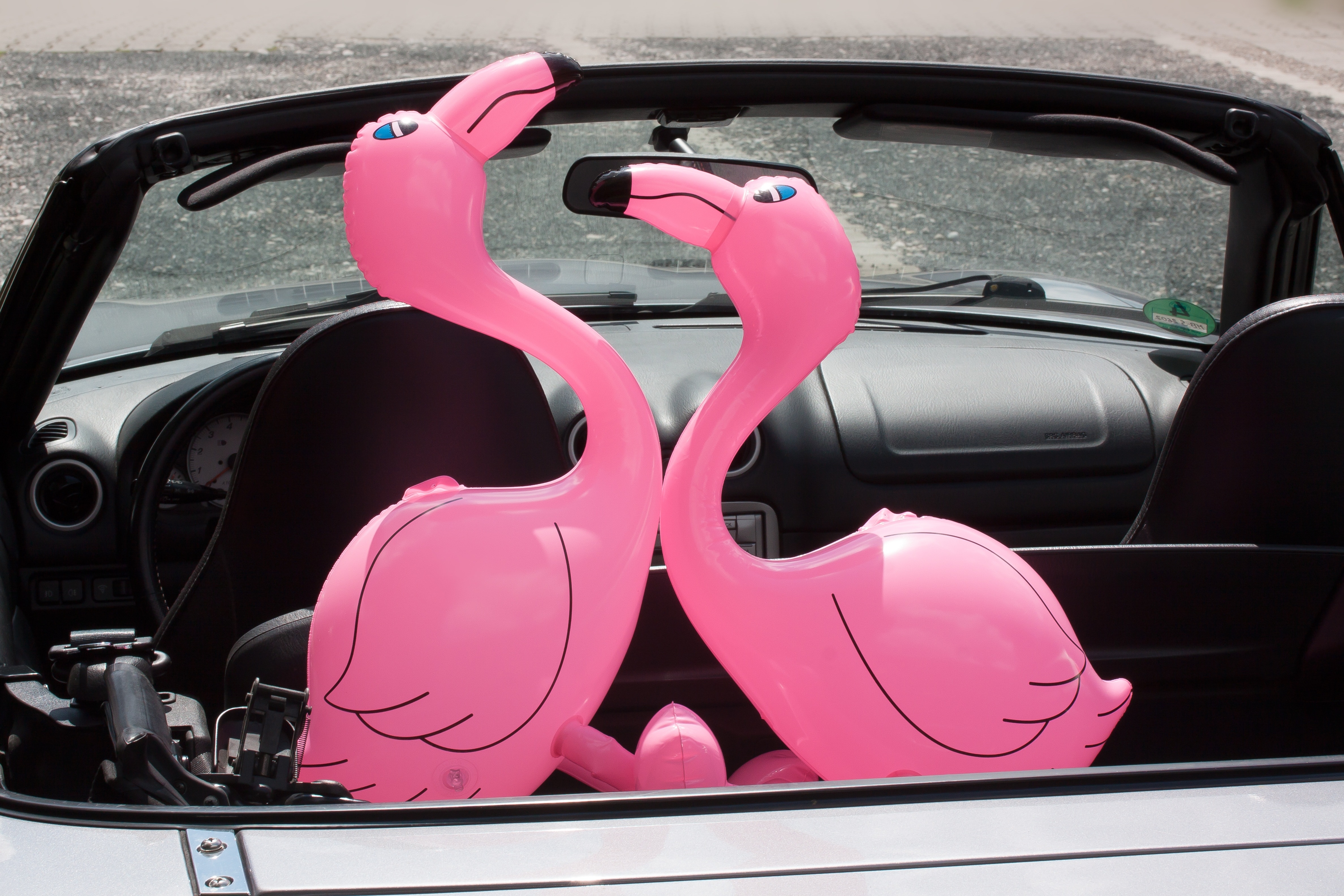pair of pink flamingo balloons in car