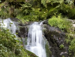 waterfalls surround by green leave trees and plants thumbnail