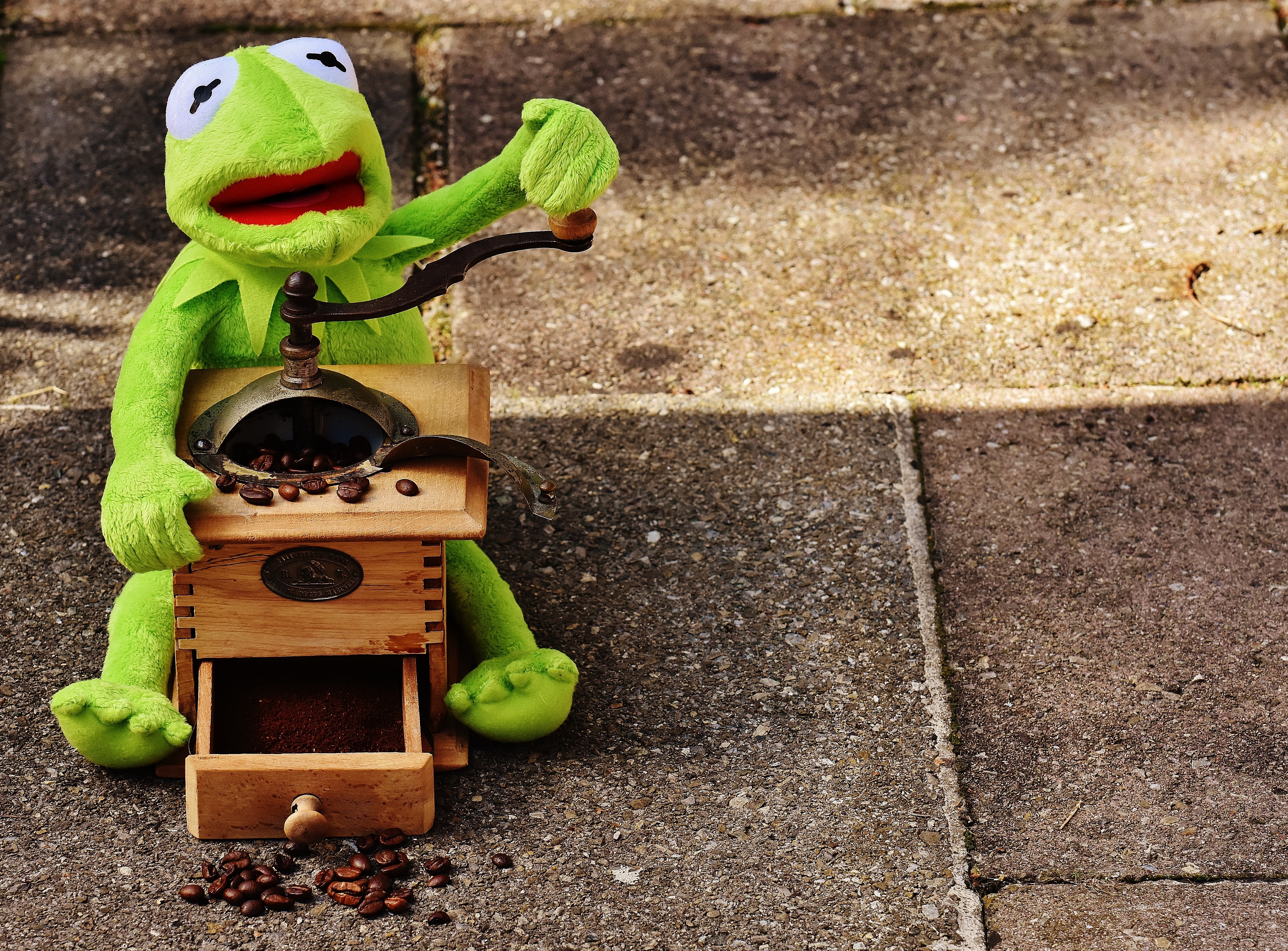 green frog plush toy and brown wood manual coffee grinder