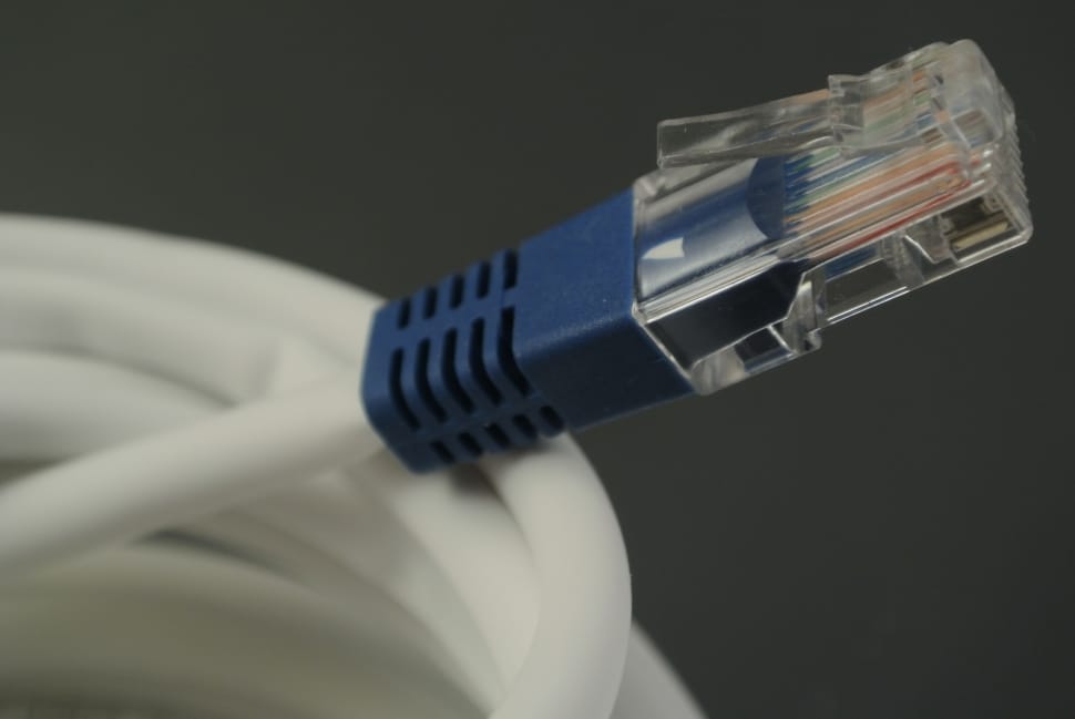 white and blue internet cable preview