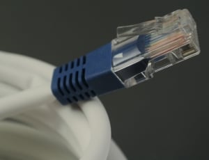 white and blue internet cable thumbnail