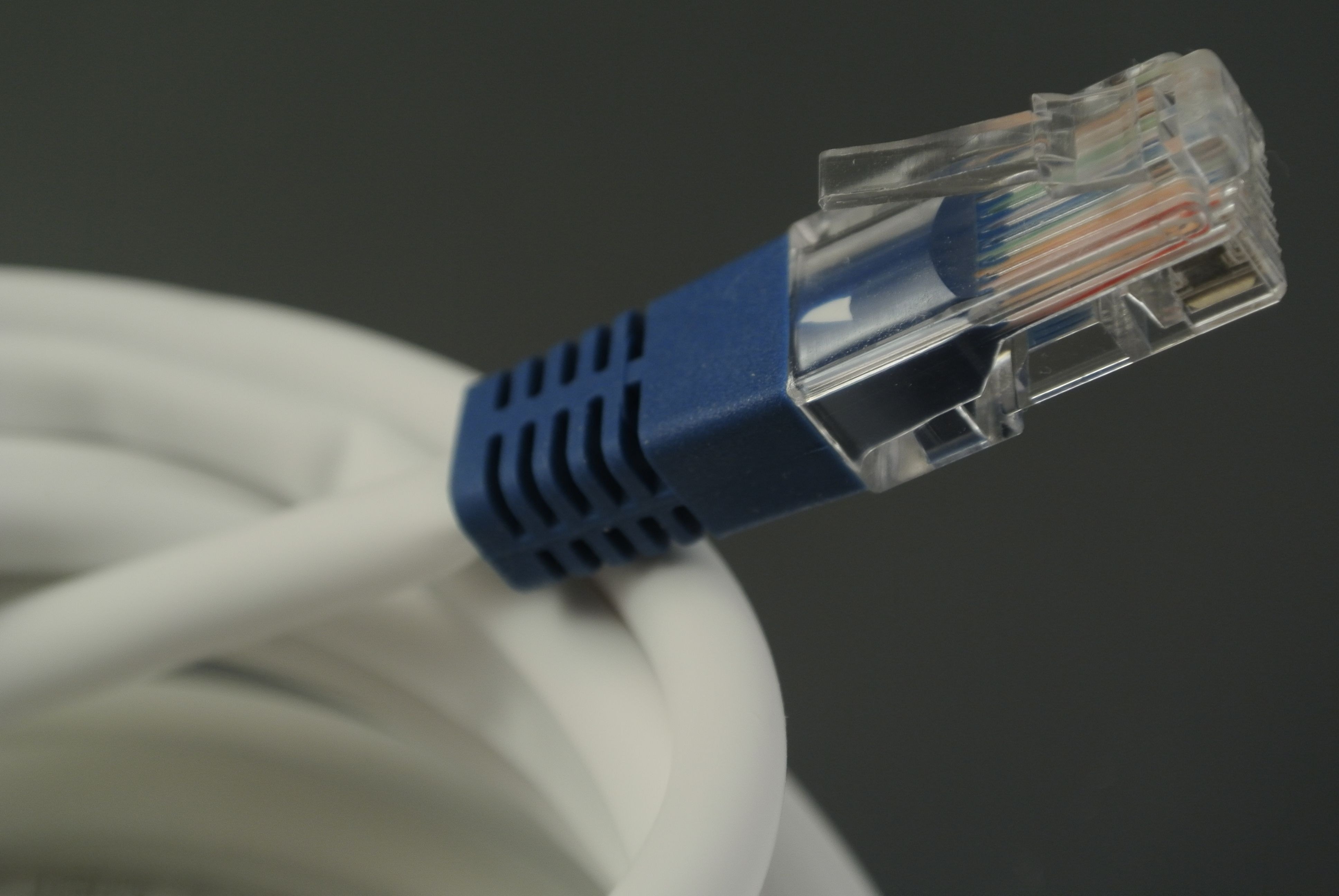 white and blue internet cable