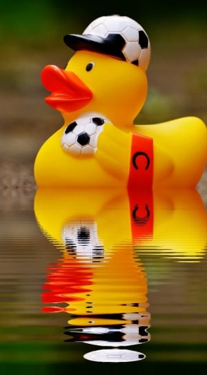 shallow focus photography of soccer player rubber ducky on body of water thumbnail
