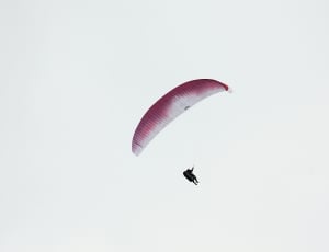 person doing sky diving thumbnail