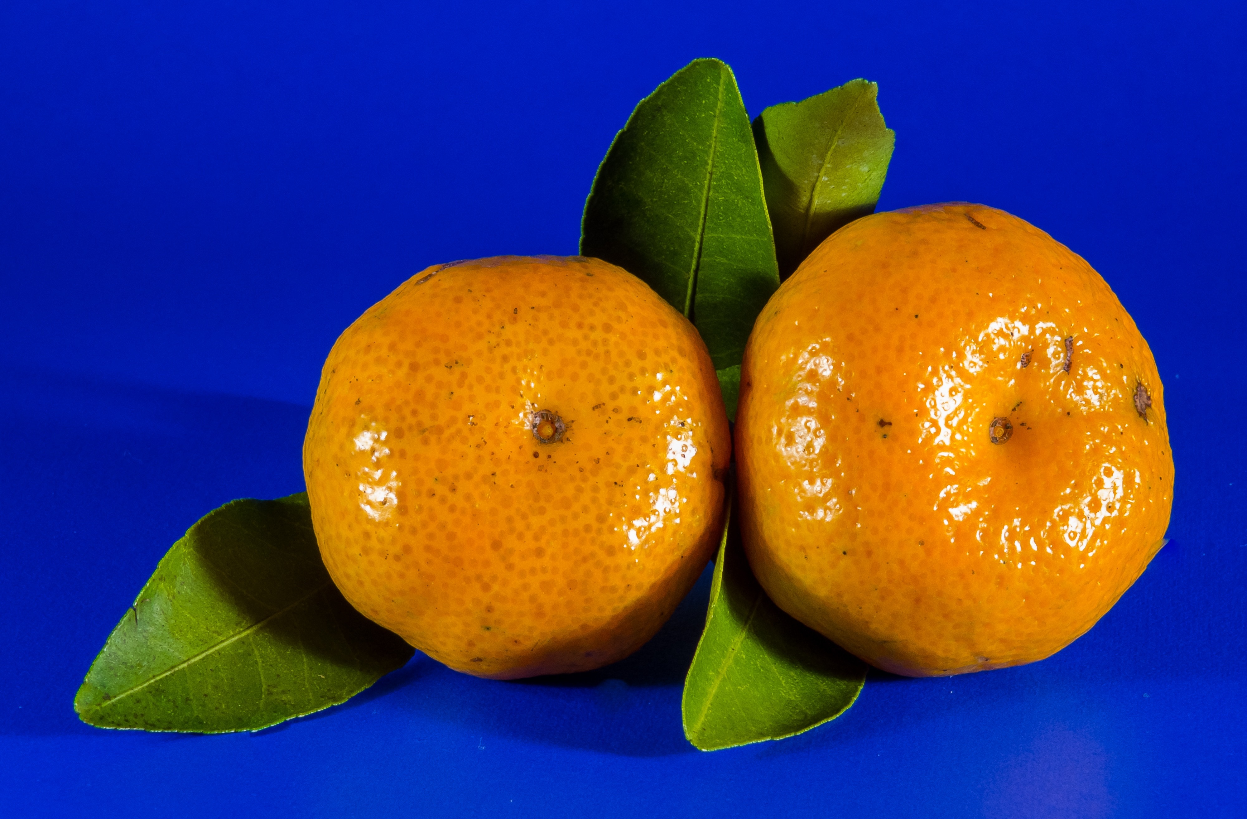 Мандарин сейчас. Фейхоа мандарин апельсин. Цитрус мандарин +апельсин. Два мандарина. Кюрасао фрукт.