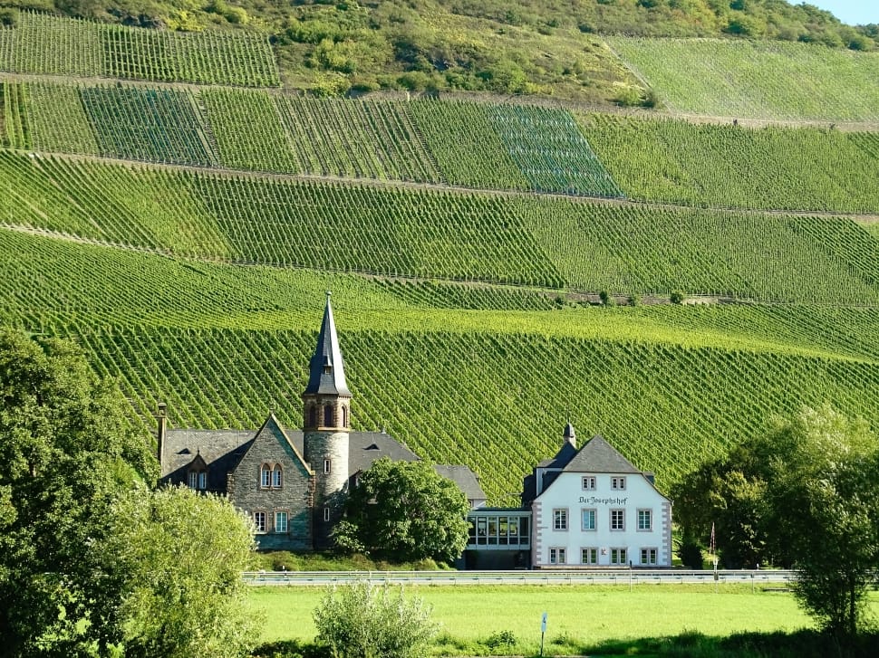 Mosel, Vineyards, Wine Growing Area, architecture, building exterior preview