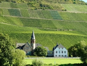 Mosel, Vineyards, Wine Growing Area, architecture, building exterior thumbnail