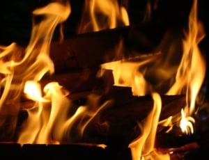 close up photo of burnt woods thumbnail