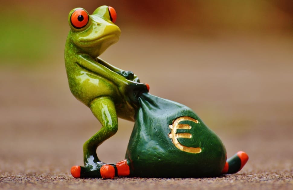 Frog, Funny, Bag, Money, Euro, Money Bag, one animal, green color preview
