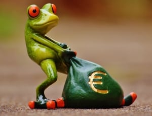 Frog, Funny, Bag, Money, Euro, Money Bag, one animal, green color thumbnail