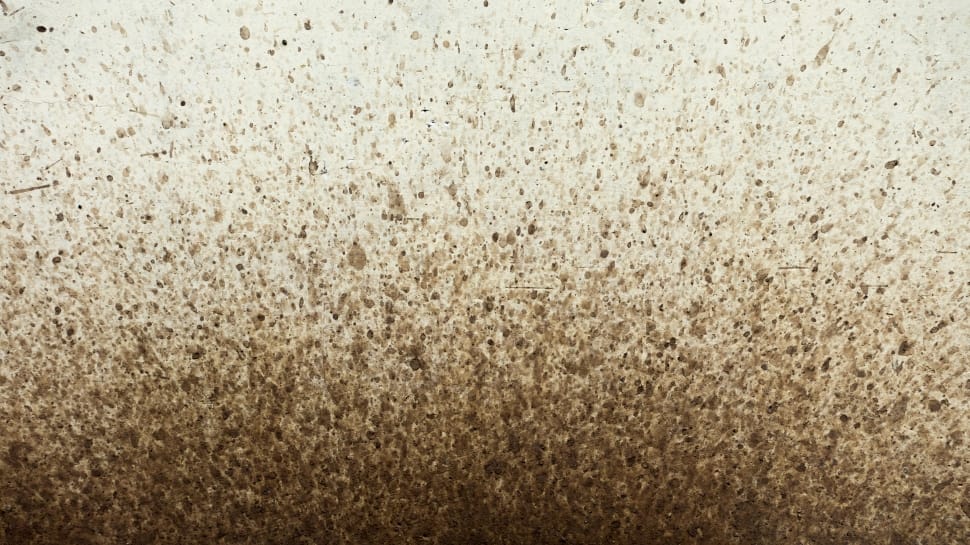 Splatter, Wall, Mud, Texture, Background, backgrounds, textured preview