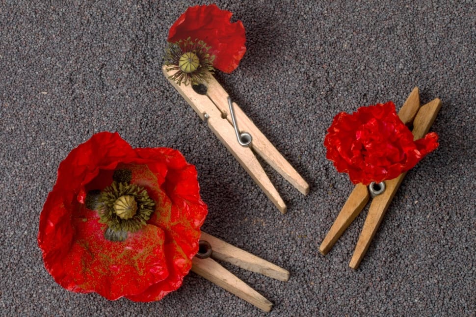 3 clothes pin with red roses preview