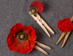 3 clothes pin with red roses thumbnail