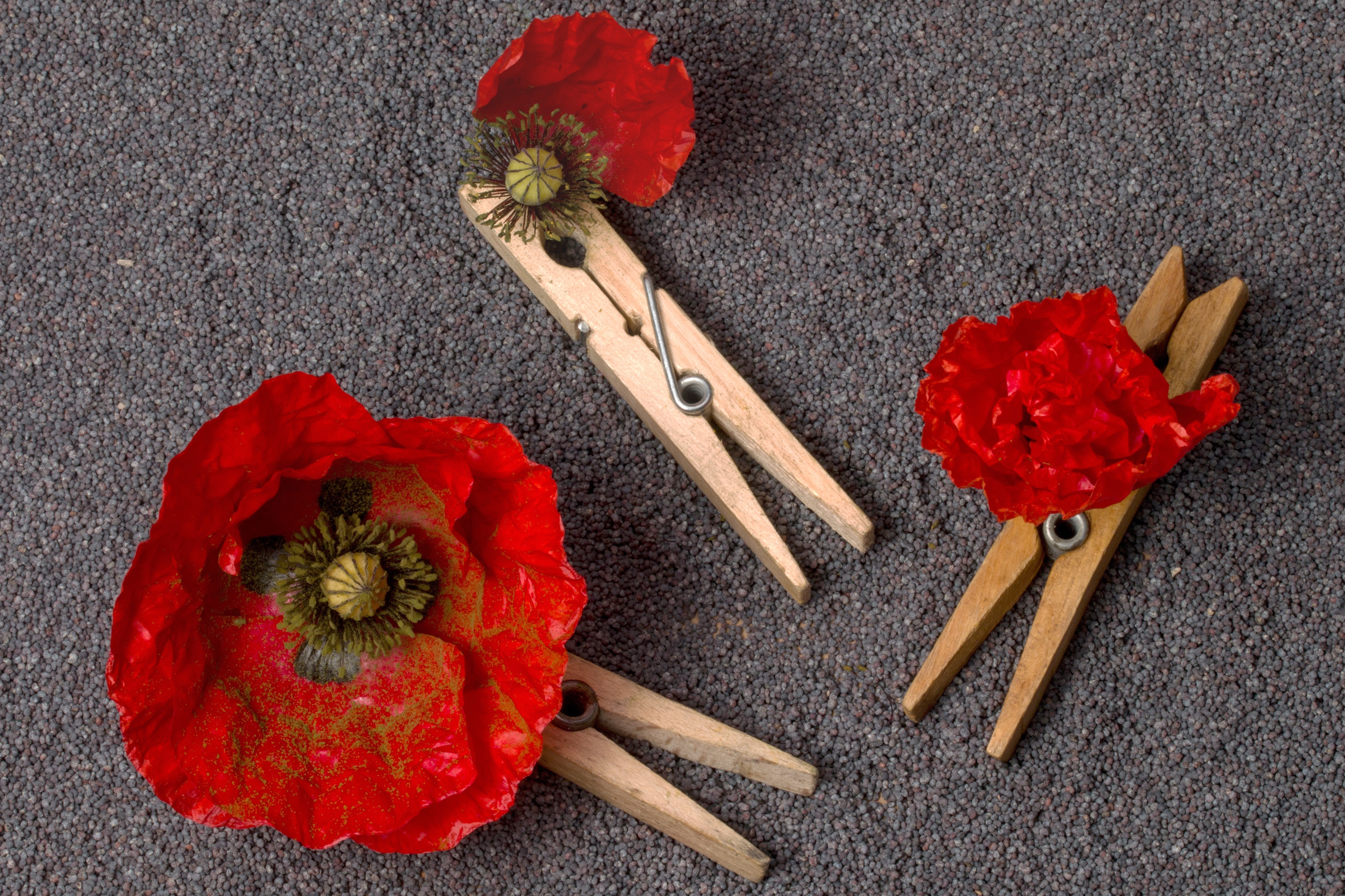 3 clothes pin with red roses