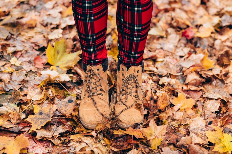 person wearing brown booties on dried leaves preview