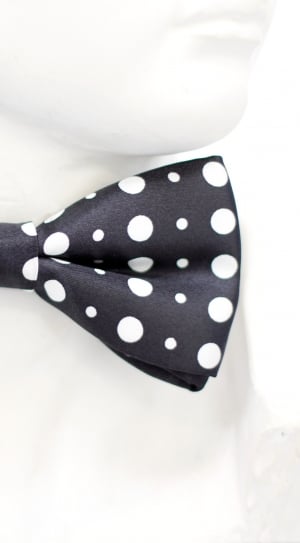 White, Points, Loop, Black, Tie, Fly, polka dot, spotted thumbnail