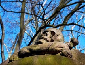 gray skull statue thumbnail