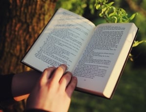 person holding book beside tree during daytime thumbnail