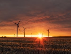 silhouette of windmills during sunset thumbnail
