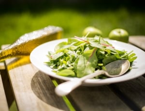 green salad with olive oil bottle thumbnail