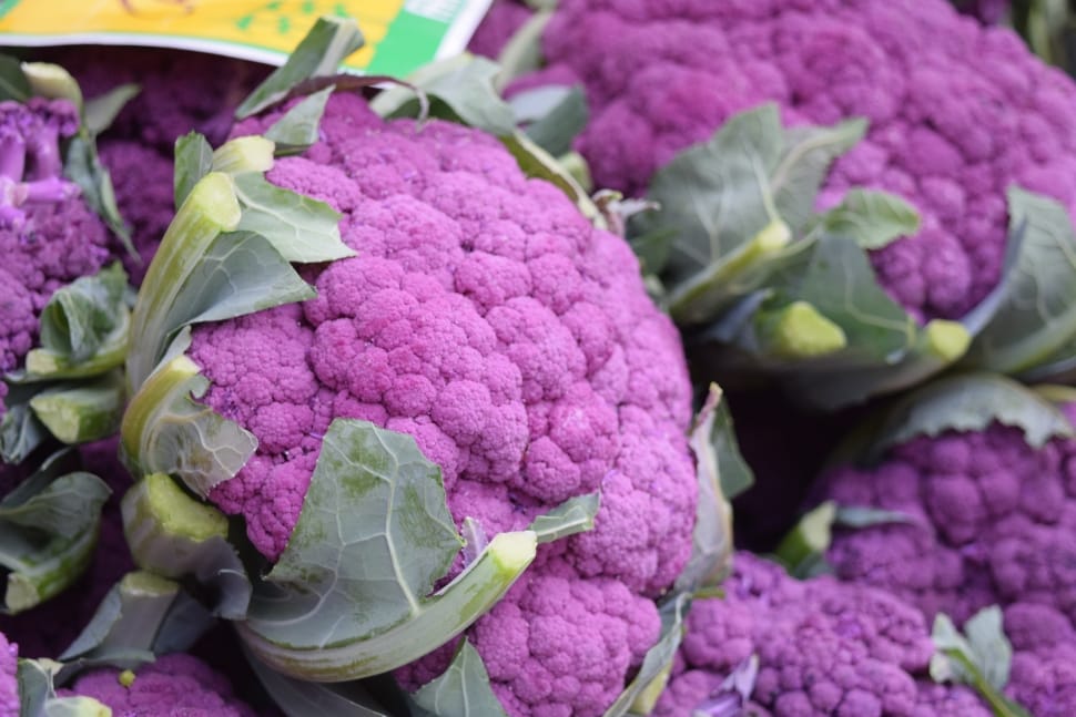 Cauliflower, Violet, Veggies, Vegetables, vegetable, healthy eating preview