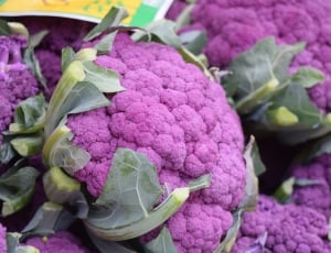 Cauliflower, Violet, Veggies, Vegetables, vegetable, healthy eating thumbnail