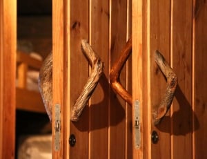 brown wooden doors thumbnail