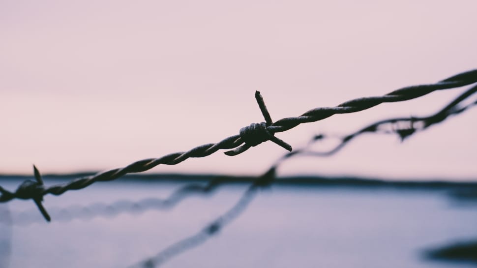 gray metal barbwire in closeup photography preview