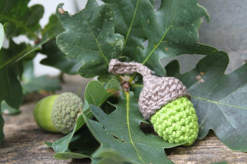 brown and green knitted acorn preview