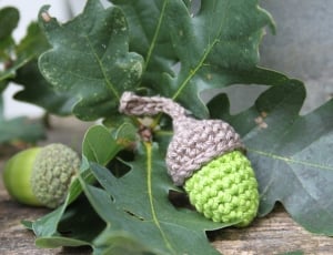 brown and green knitted acorn thumbnail