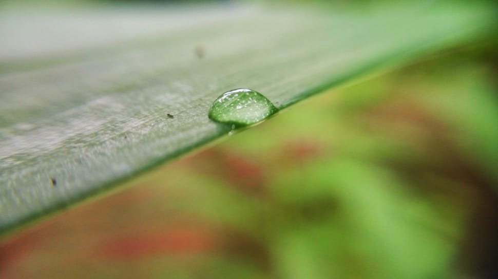 shallow focus photography of drops of water on top of green textile preview
