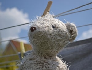 close-up photo of grey and white teddy bear thumbnail