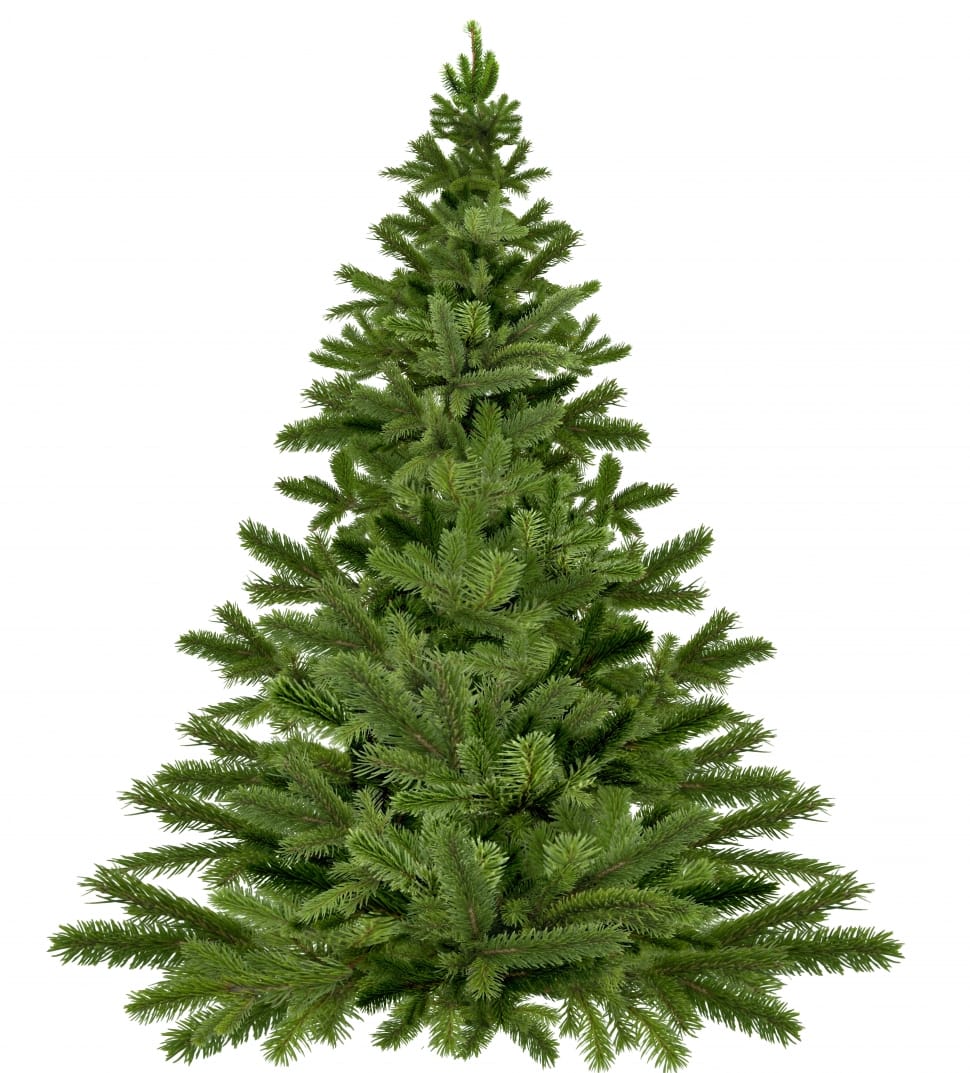 green christmas tree preview