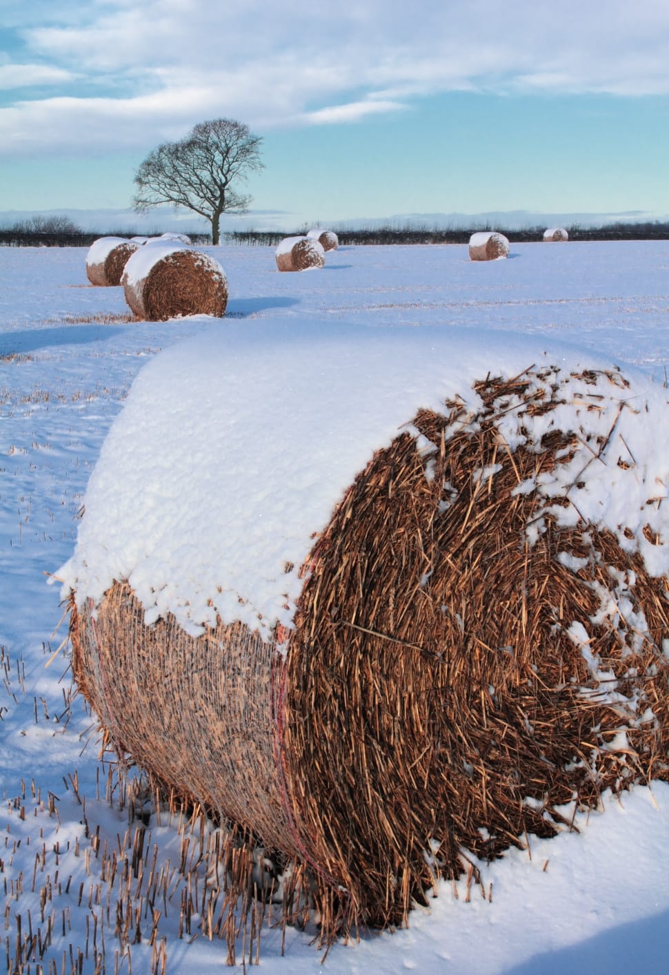 snow covered haystack preview