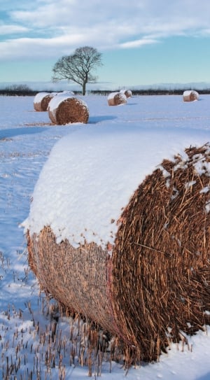 snow covered haystack thumbnail