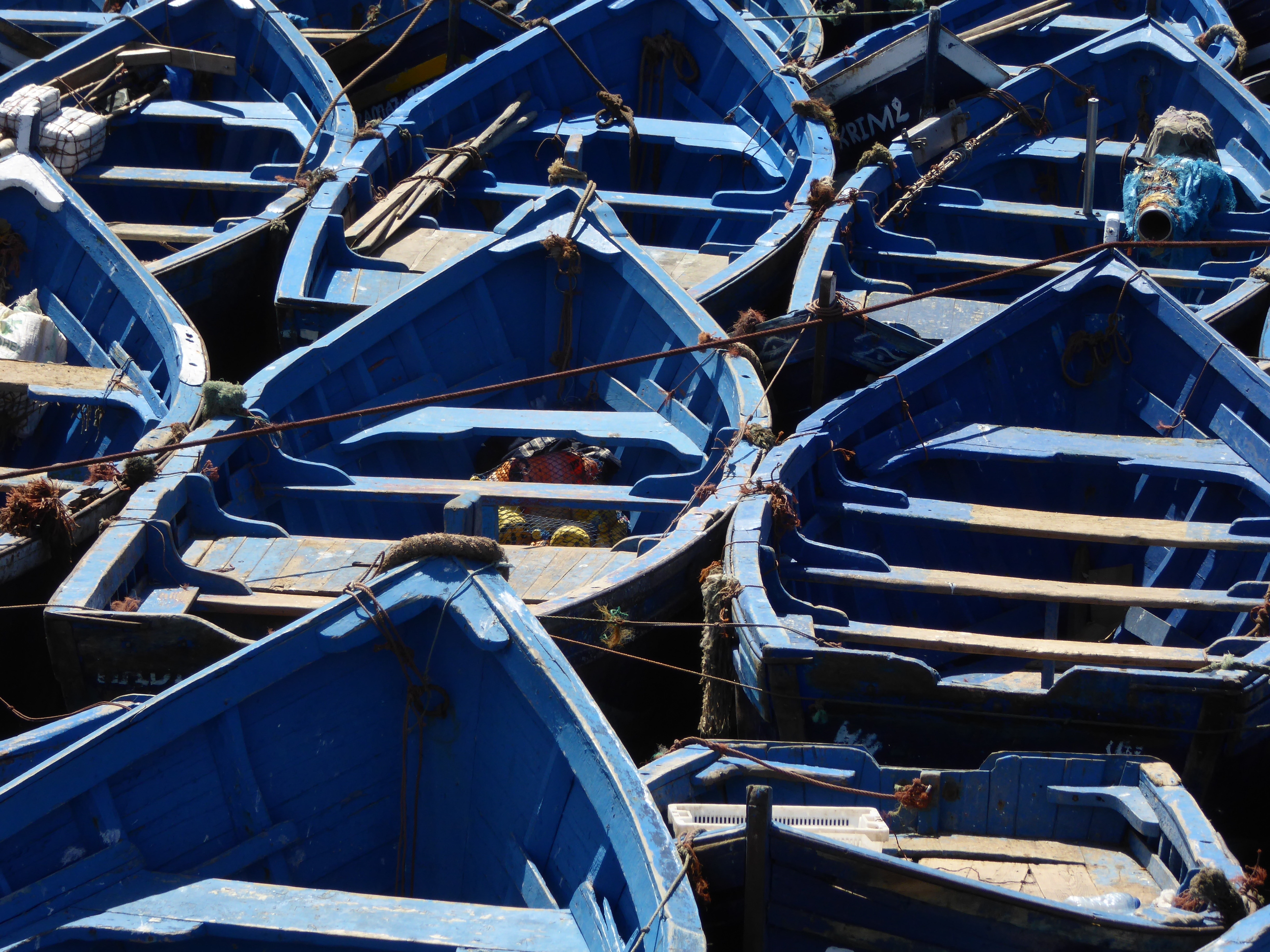 blue wooden frame boat lot