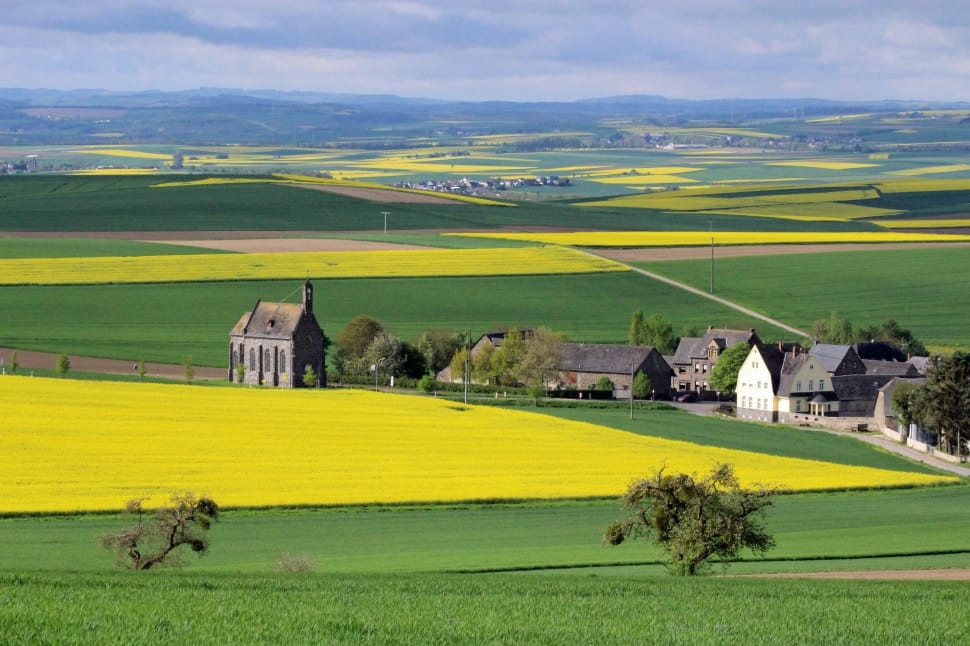 panoramic photograph of infrastructures surrounded by green fields preview