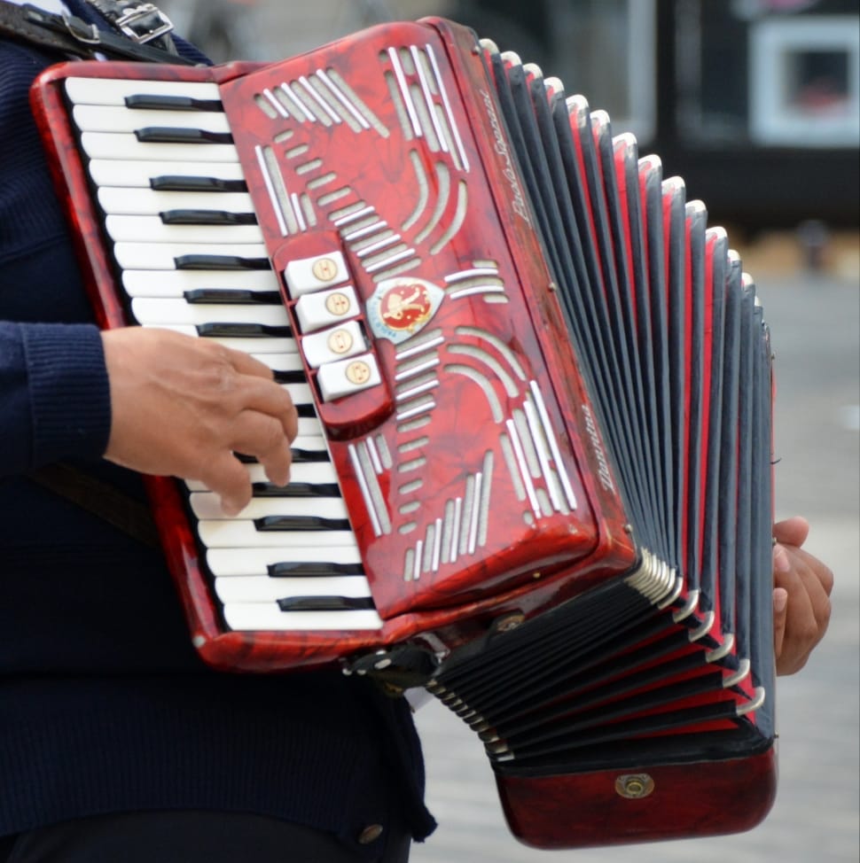 red white and black accordion preview