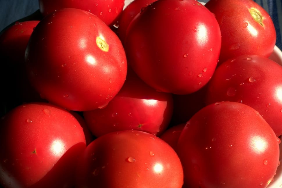 Juicy, Mature, Healthy, Red, Tomatoes, red, food and drink preview