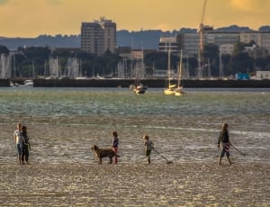 children and dark golden retriever walking beside shore during sunset thumbnail