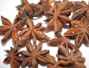 Spice, Cook, Star Anise, Anise, Brown, spice, star anise thumbnail